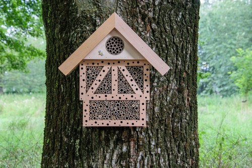 Insektenhotel wildbienen - insektenhotel,