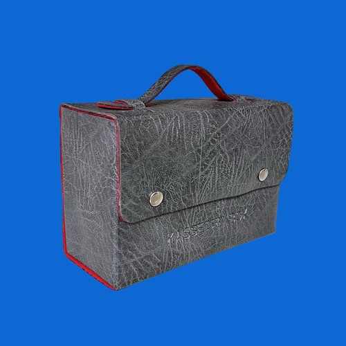 Ddr kassettenbox leder - ddr,