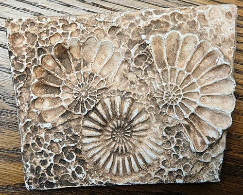 Versteinerung 14x10