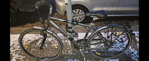Pegasus fahrrad zoll herren - fahrrad,