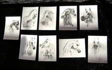 Pferdepostkarten postkarte - pferdepostkarten,,