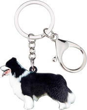 Schwarzer Border Collie Hund