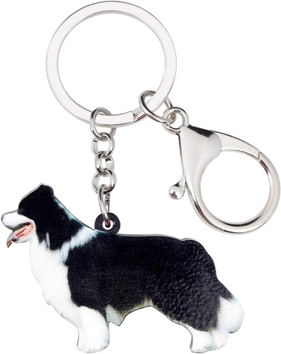 Schwarzer border collie - schwarzer, hund