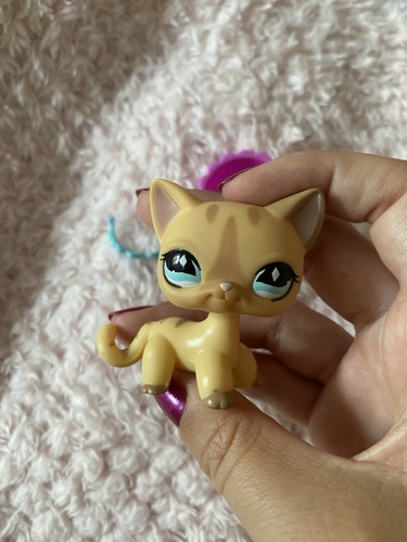 Lps 886 kurzhaarkatze - lps, mit