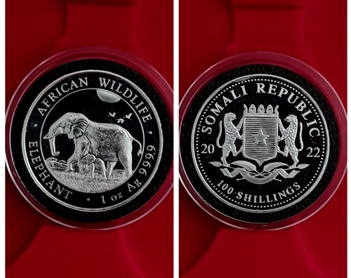 1oz 100 shillings 2022 - ☆,
