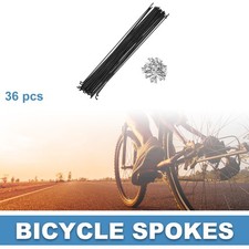 Fahrrad Speichen 14G 235MM