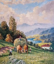 Bayern Alpen Heu Ernte Bauer