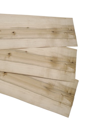 Furnier kern ahorn - kern-ahorn, blatt