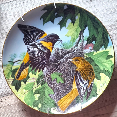 The national audubon society - audubon,