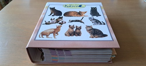 Alles über katzen - alles,