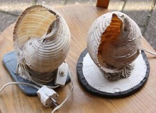 Zwei Muschel-Lampen - DIY