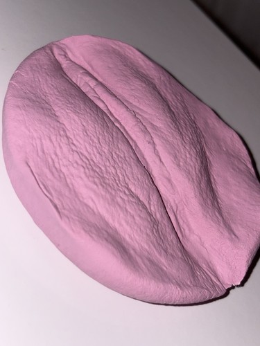 Vagina gipsabdruck original - gipsabdruck,