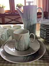 Thomas Rosenthal Kaffeeservice 12 Personen 39 Teile Porzellan Schilf Bambus Gras