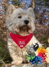 Hundehalstuch mit Namen 18 Farben bedruckt 85x40x40 cm Dreiecktuch 6524