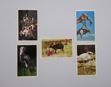 Sammelbild Quäker - Karl May-