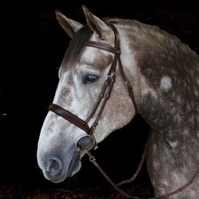 Whitaker Madrid Fancy Stitch