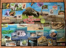 Wissensposter von Medizini