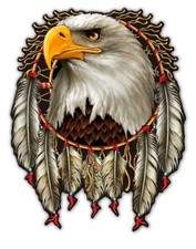 Amerika eagle dream adler - amerika,