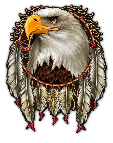 Amerika eagle dream - amerika,