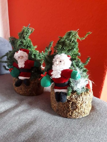 Weihnachtsdekoration - ,