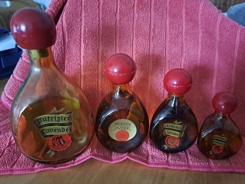 Patrizier lavendel - ++,