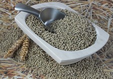 Wachtelfutter 25kg - ,