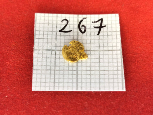 165 gramm goldnugget - 0,165, alaska