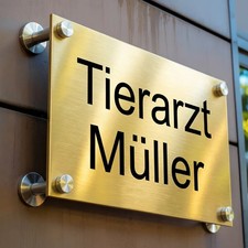 Goldgebürstete Luxus