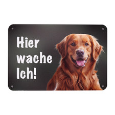 Golden Retriever Autoaufkleber
