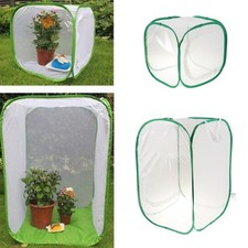 Käfigzuchtbox Terrarium