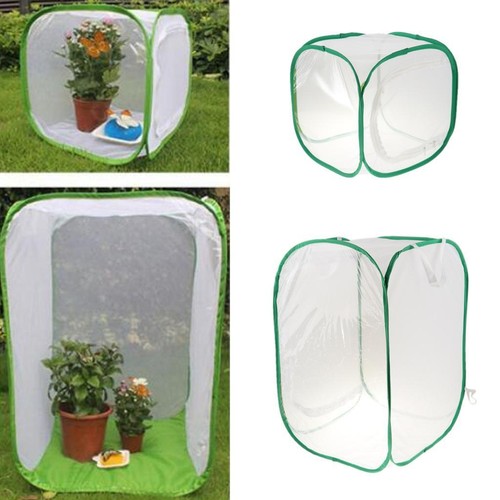 Käfigzuchtbox terrarium - käfigzuchtbox,