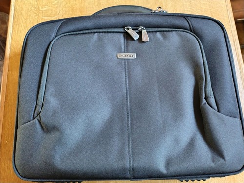 Dicota multiplus - multiplus,