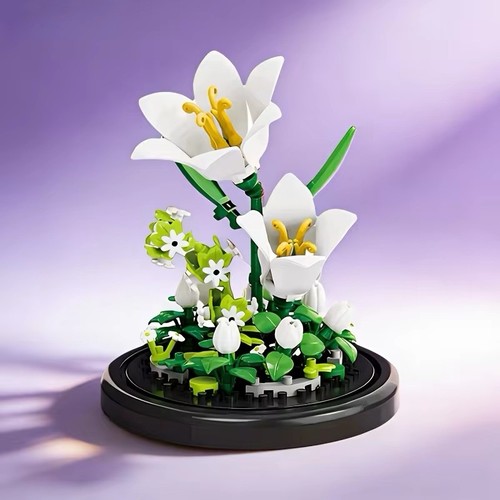 Weiße lilie blumen - weiße,