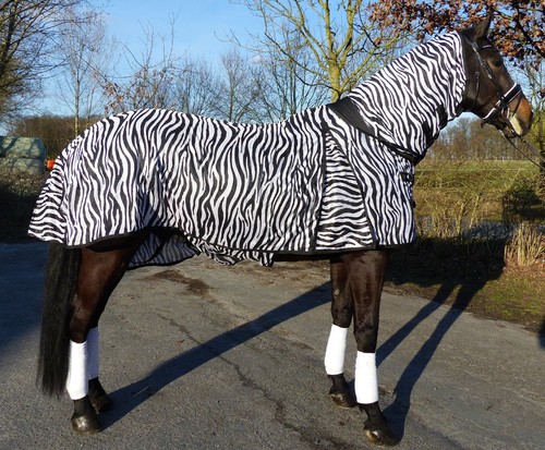 Fliegendecke zebra mit - zebra,