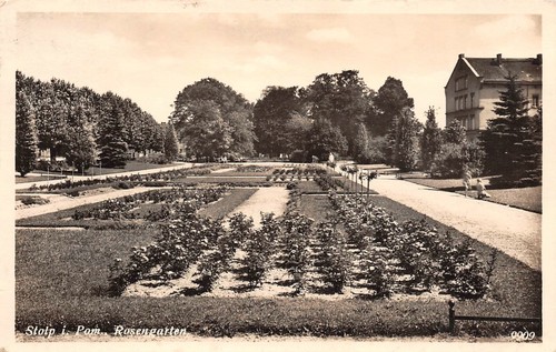 Stolp pommern rosengarten - pommern,