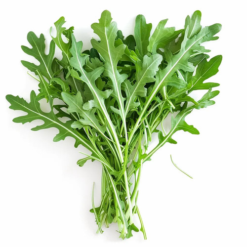 1000 samen rucola wilde rauke - rucola,