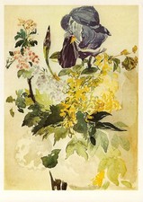 Postcard Ed. Manet