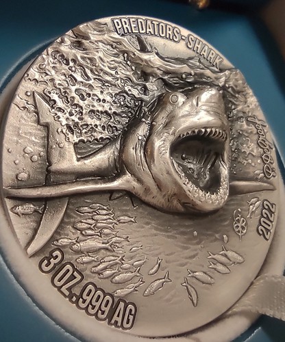 Great white shark - great,