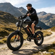 Fat tyre elektrofahrrad - fat,