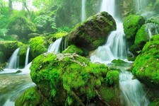 Wandbild: Wunderschöner