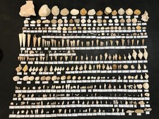 Umfangreiche Sammlung