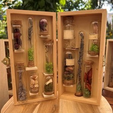 Botanisches Herbarium im Glas