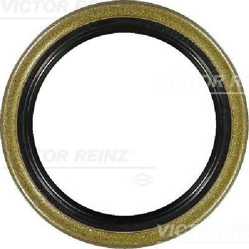 Original victor reinz - original,