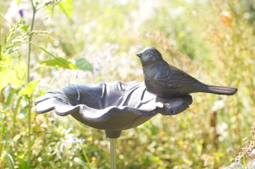 Gusseisen vogeltränke mit - gusseisen,