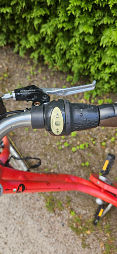 Pegasus city bike orange - pegasus,
