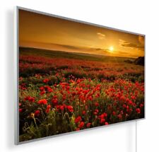 Infrarot Bildheizung 300-1200