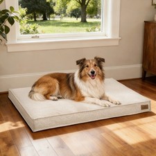 Hundesofa XXL orthopädisch