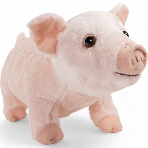 Carl dick schwein - dick, schwein,