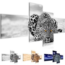 Wandbilder Afrika Leopard