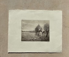 STAHLSTICH - WEIDEN AM